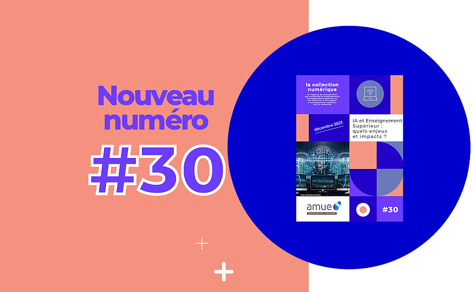 La collection numérique : numéro 30