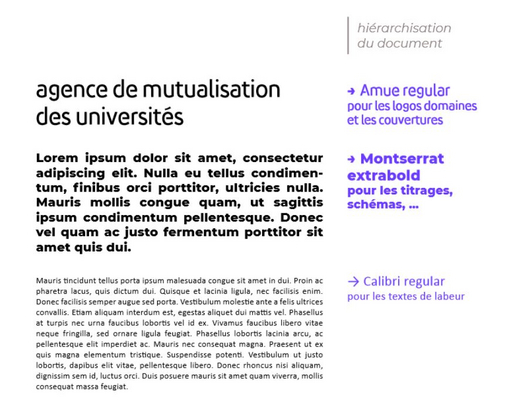 hiérarchisation des polices d'écriture