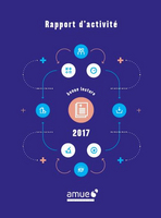 Rapport d'activité 2017