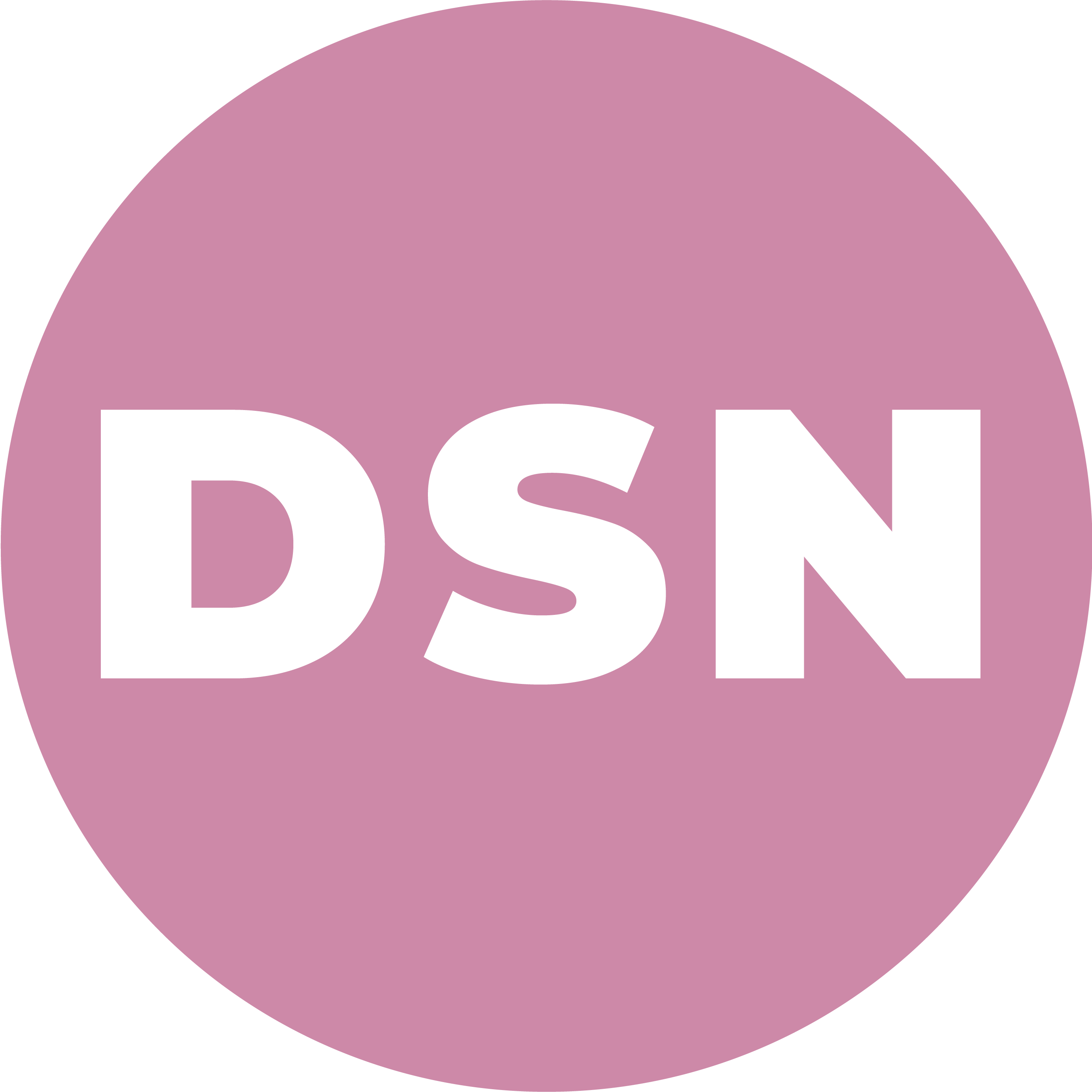 Picto RH DSN